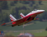 TSR Watermark - 0003